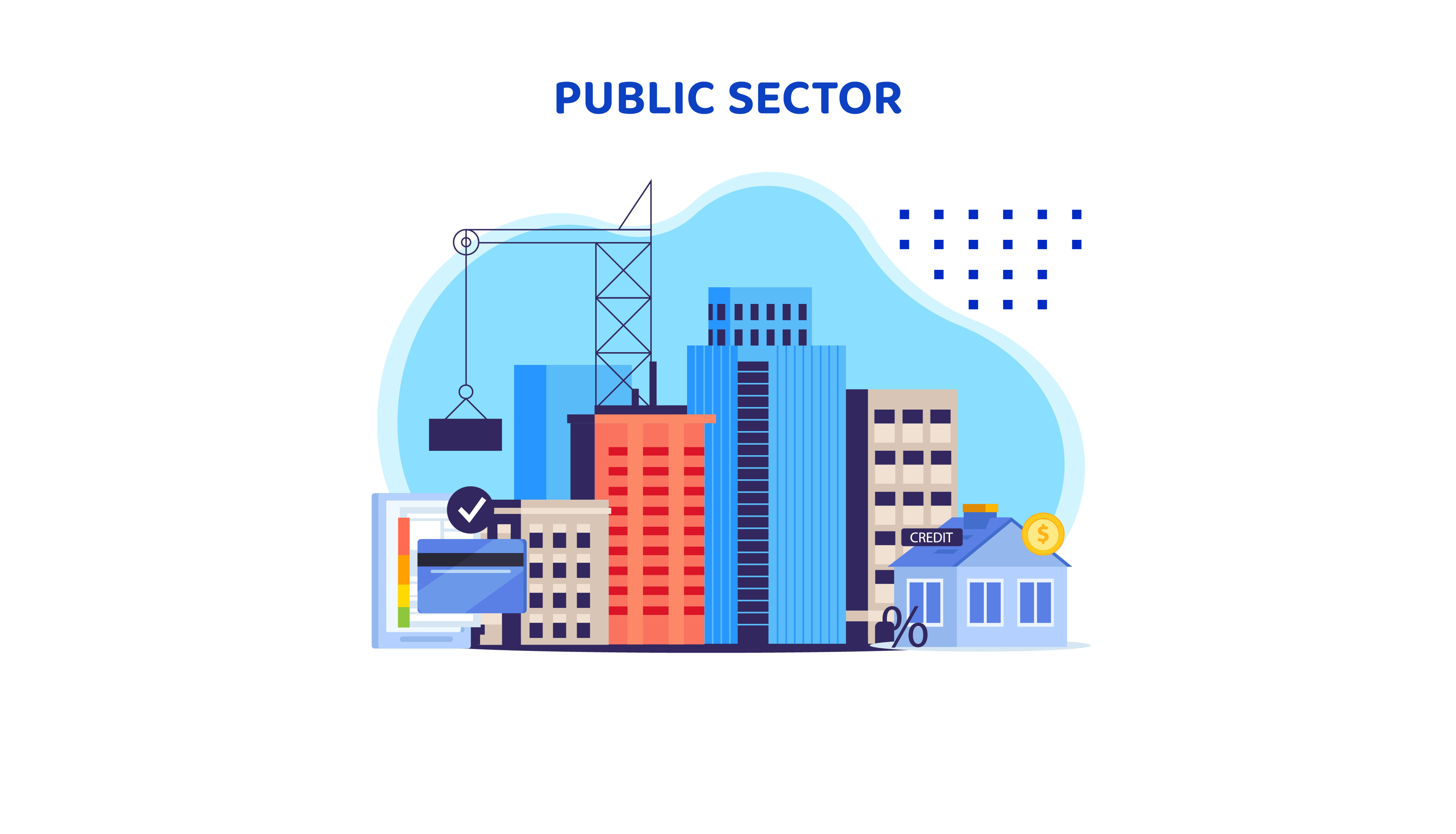 Public Sector